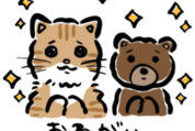 お買い物ねことゆるい熊×ストライプクラブ