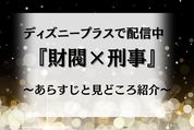 ディズニープラス　財閥×刑事