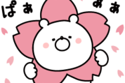 日清オイリオ通信販売×ガーリーくまさん