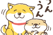 しばんばん×コレイヨ