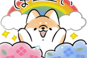 毎日使える♪ほんわかしばいぬ