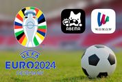 サッカーEURO2024を視聴するには？ お得に観る方法も紹介