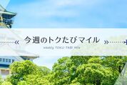 ANA、「今週のトクたびマイル」の対象路線を発表