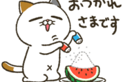 動く！夏のタマ川ヨシ子（猫）第32弾