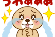 突撃！ラッコさん×ヤフージャパン