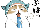 サメにゃん × LINE NEWS