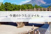 ANA、「今週のトクたびマイル」の対象路線を発表　羽田〜関西や伊丹〜福岡などが3000マイルから