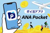 ANA Pocket