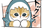 サメにゃん & LINEマンガ