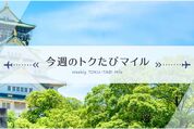 ANA、「今週のトクたびマイル」の対象路線を発表　羽田〜伊丹や伊丹〜福岡などが3000マイルから