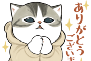 mofusand × ユニクロ