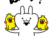 動く！うさぎゅーん！×すこぶる動くウサギ