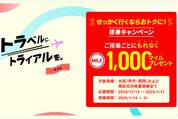 JAL、伊丹・関西、南紀白浜発着の路線に搭乗すると1000マイルをプレゼント　1月31日まで