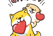 でかっ！しばんばん×ポインコの日常