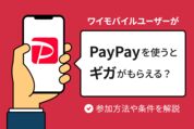 PayPay使ってギガ増量キャンペーン