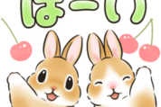 日常敬語★夏まで使える！うさぎのスタンプ