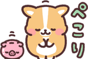 まるまるコーギー × LINEポケットマネー