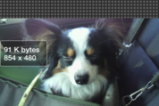 アプリ「Reduce Photo Size」直感的に画像を編集できる #Android