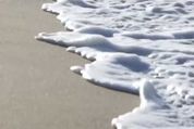 アプリ「Alive Video Wallpaper」 高精細な自然映像を背景にできる新しい質感の壁紙 #Android
