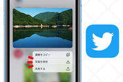 Twitterで画像を保存する方法まとめ　一括ダウンロードも可能【iPhone/Android/PC】