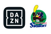 DAZN、東京ヤクルトスワローズの主催試合を2年ぶりに配信決定