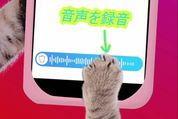 インスタグラム、ダイレクト（DM）でボイスメッセージの送信が可能に